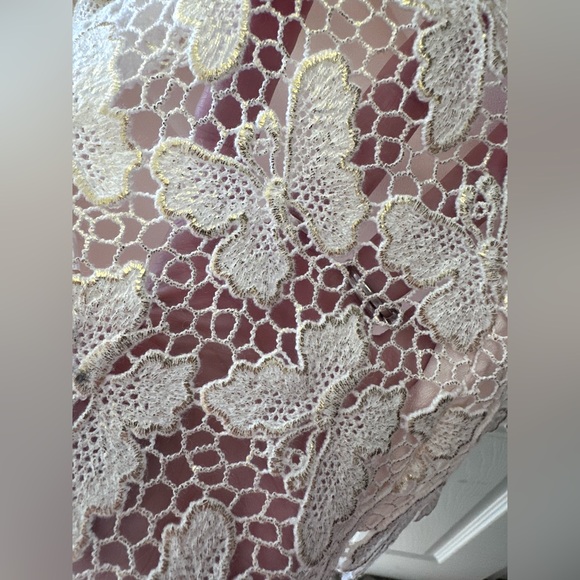 Lily Pulitzer Fulton Dress Butterfly Cream & Gold Lace w/ Sheer Neck - Picture 11 of 13